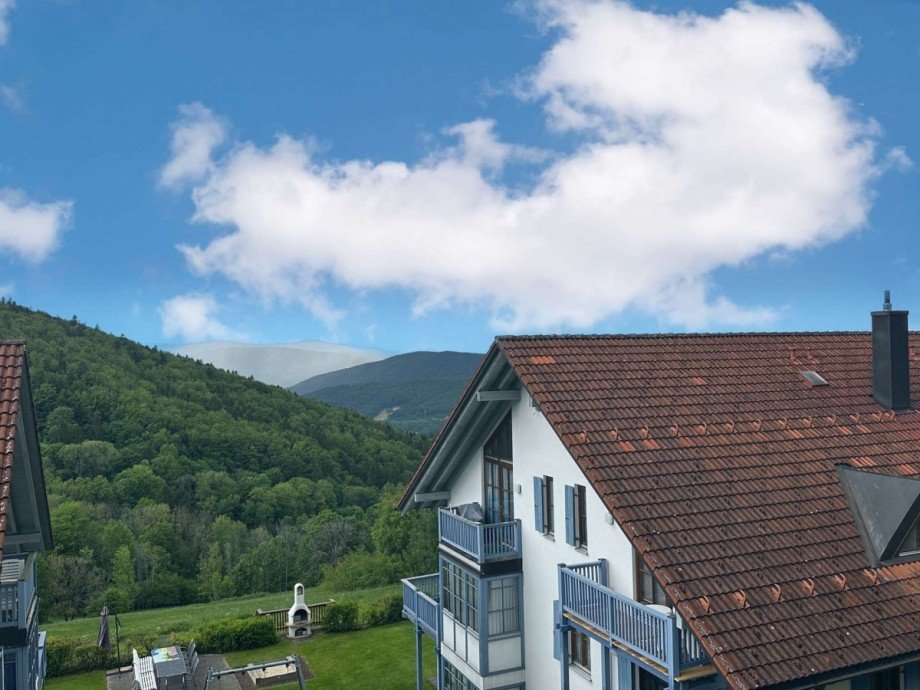Aussicht Erdgeschosswohnung Sch�fweg