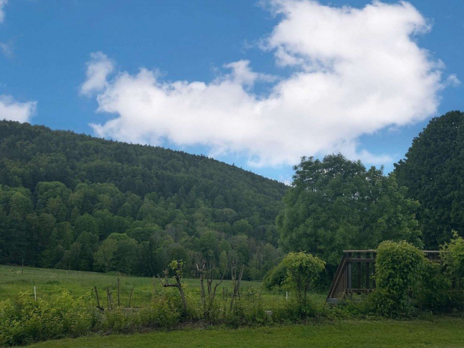 Ausblick Erdgeschosswohnung Sch�fweg